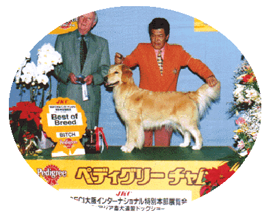 スティーブン ヒューネック ゴールデンレトリーバー
